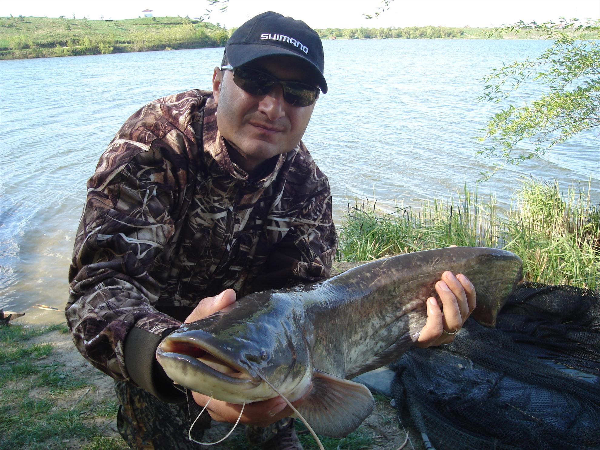 Tancabesti - dsc04134.JPG